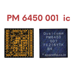PM 6450 001 IC
