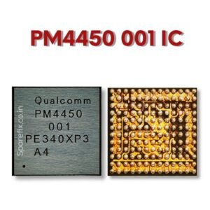 PM 4450 001 IC