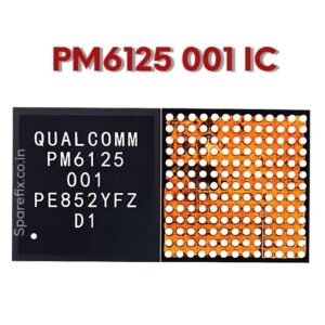 PM 6125 001 IC