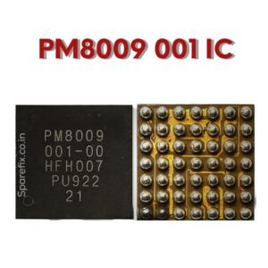 PM 8009 001 IC