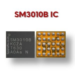 SM 3010 B IC